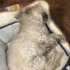 Meet your Posher, Phyllis